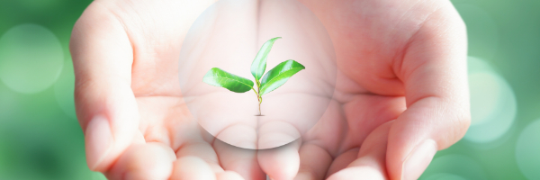 伝える力と受けとめる力を育てる